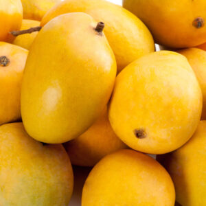 Ratnagiri Alphonso Mangoes